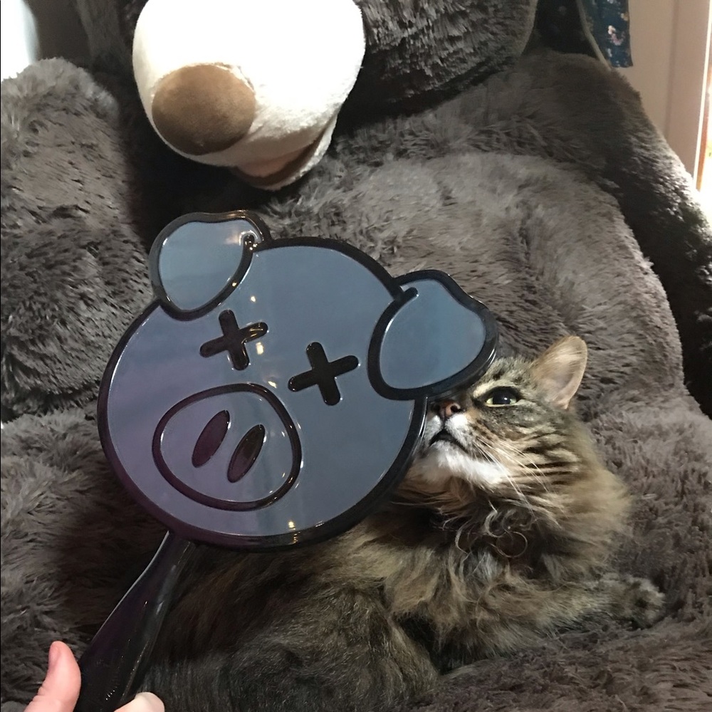 Shane Dawson Pig Mirror